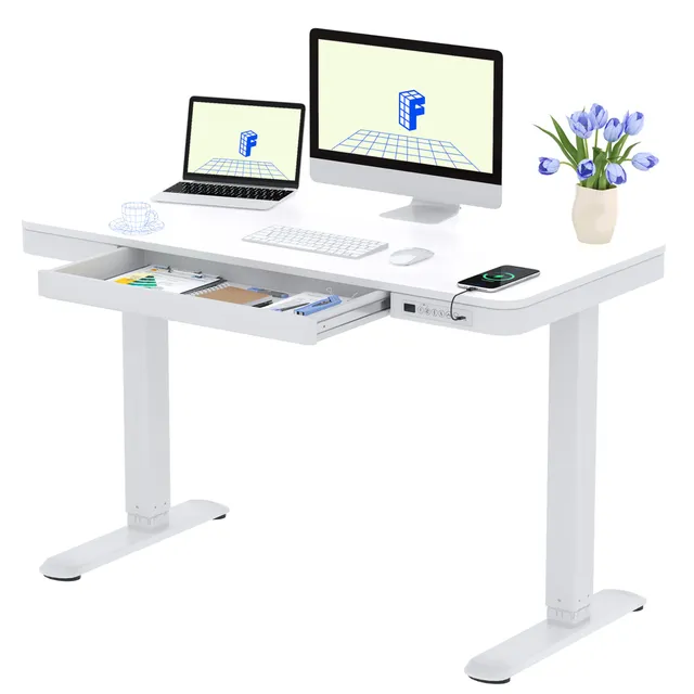 flexispot-elektrischer-h-henverstellbarer-schreibtisch-120-60-cm-mit-schublade-u image 1