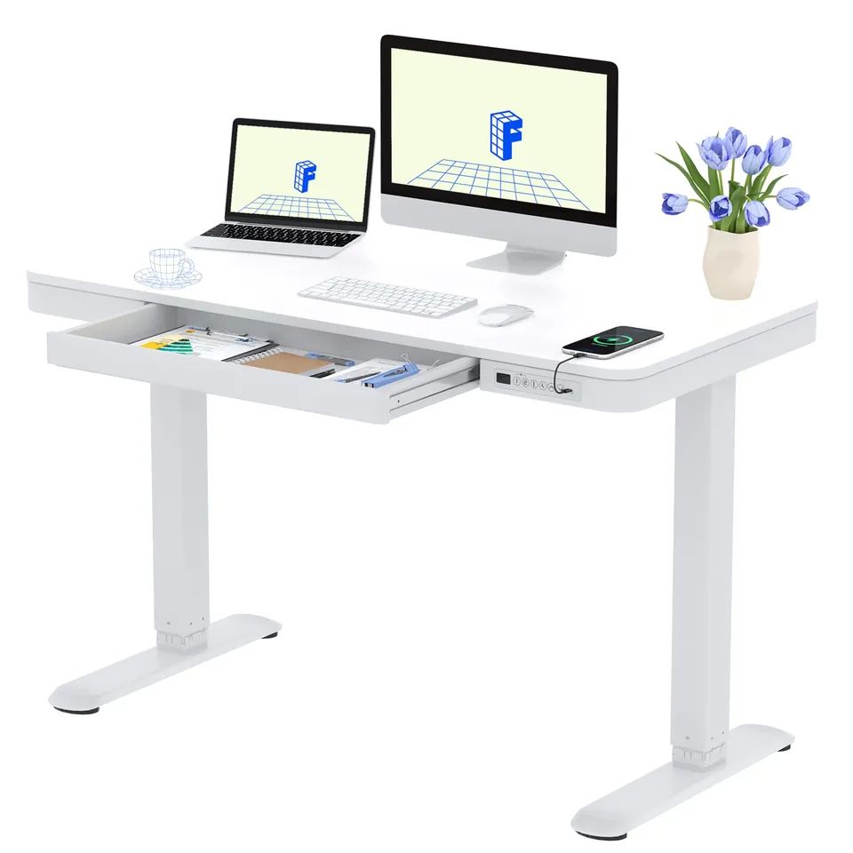 flexispot-elektrischer-h-henverstellbarer-schreibtisch-120-60-cm-mit-schublade-u image 1