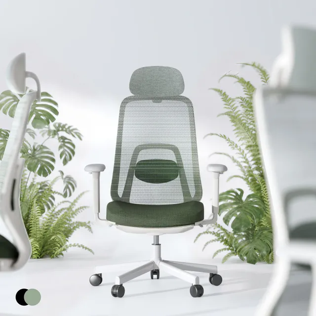 flexispot-balanso-ergonomischer-b-rostuhl-mit-dynamic-balance-mechanik-fu-st-tze image 1