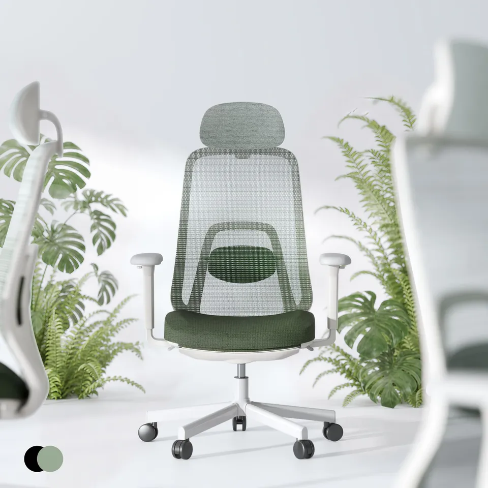 flexispot-balanso-ergonomischer-b-rostuhl-mit-dynamic-balance-mechanik-fu-st-tze image 1