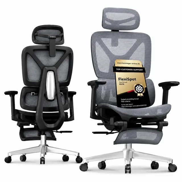 flexispot-ergox-ergonomischer-b-rostuhl-mit-fu-st-tze-grau-3d-armlehnen-3d-kopfs image 1
