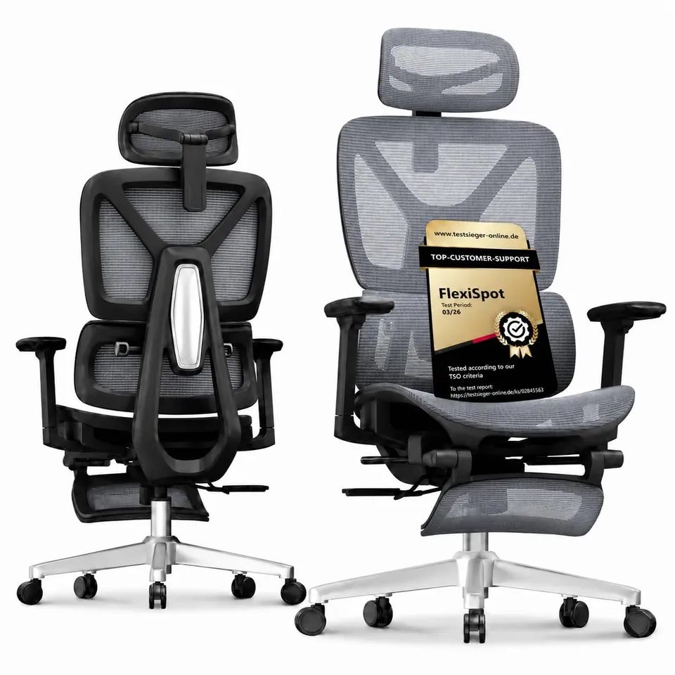 flexispot-ergox-ergonomischer-b-rostuhl-mit-fu-st-tze-grau-3d-armlehnen-3d-kopfs image 1
