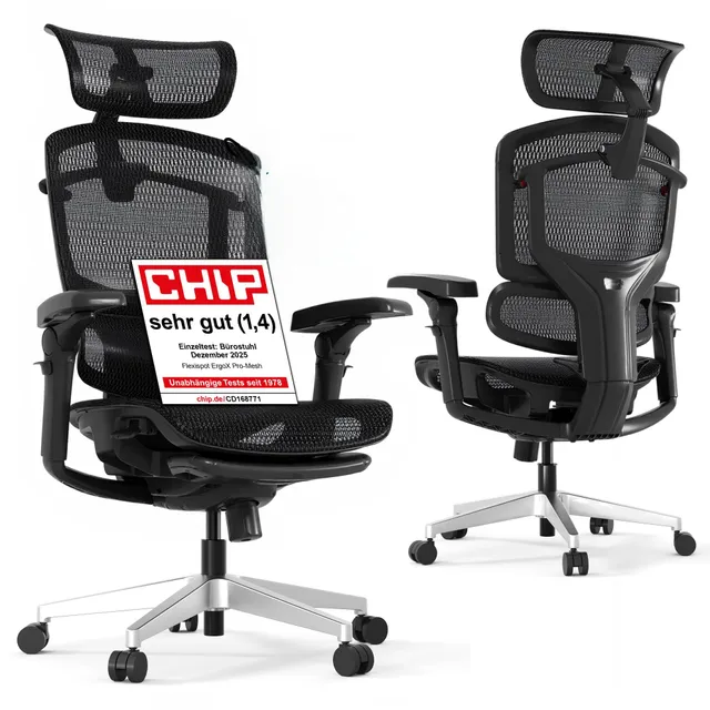 flexispot-ergox-pro-ergonomischer-b-rostuhl-7d-armlehnen-5d-lendenst-tze-4d-kopf image 1