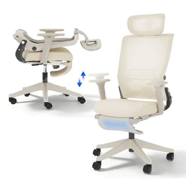 flexispot-foldex-ergonomischer-klappbarer-b-rostuhl-mit-lendenwirbelst-tze-2d-ko image 1