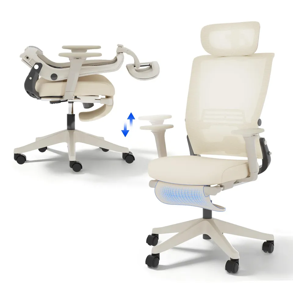 flexispot-foldex-ergonomischer-klappbarer-b-rostuhl-mit-lendenwirbelst-tze-2d-ko image 1