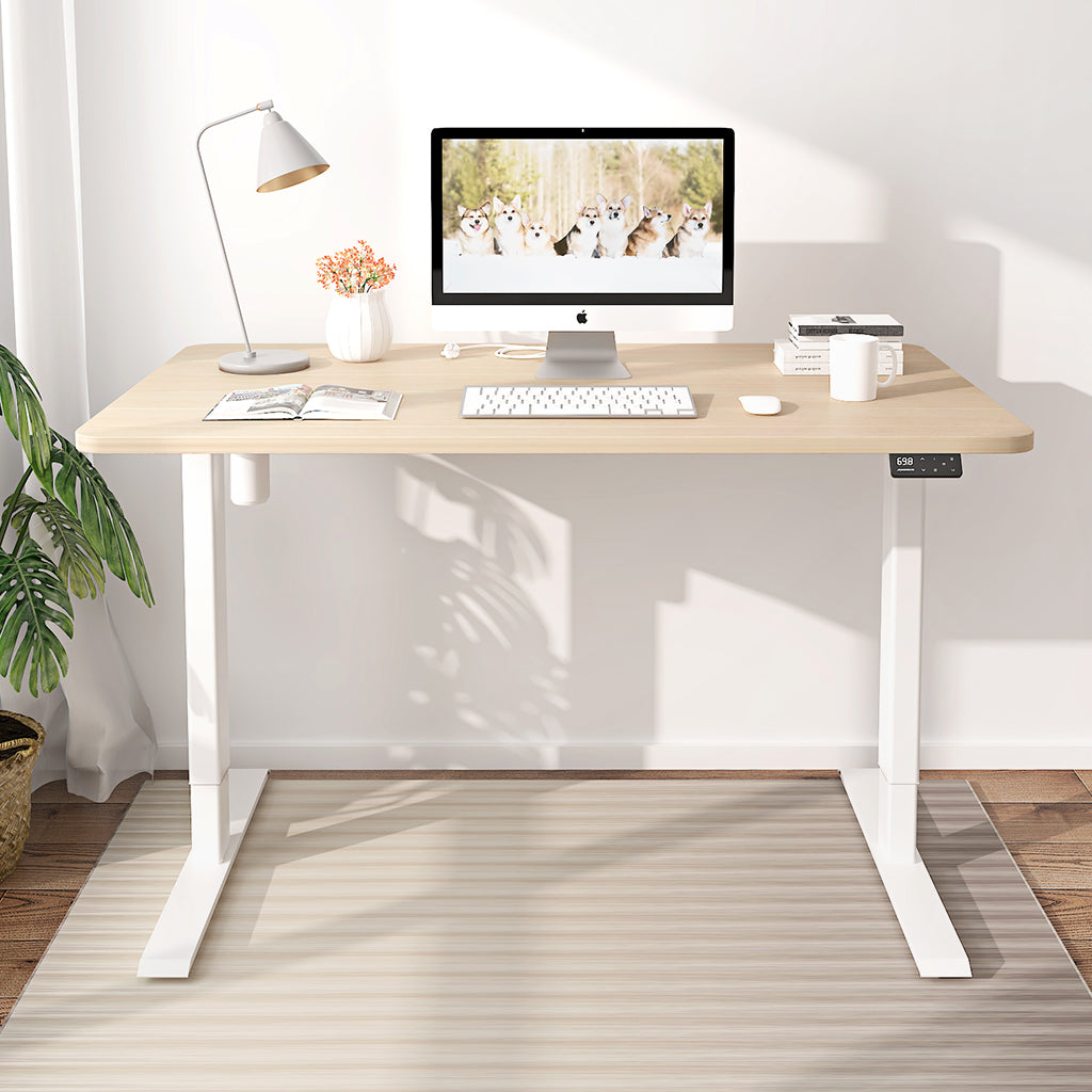 maidesite-s1-basic-elektrisch-h-henverstellbarer-schreibtisch-120x60-cm-preis-le image 3
