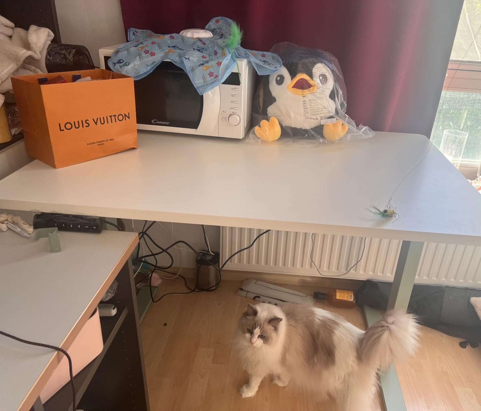 Endlich aufgeräumt