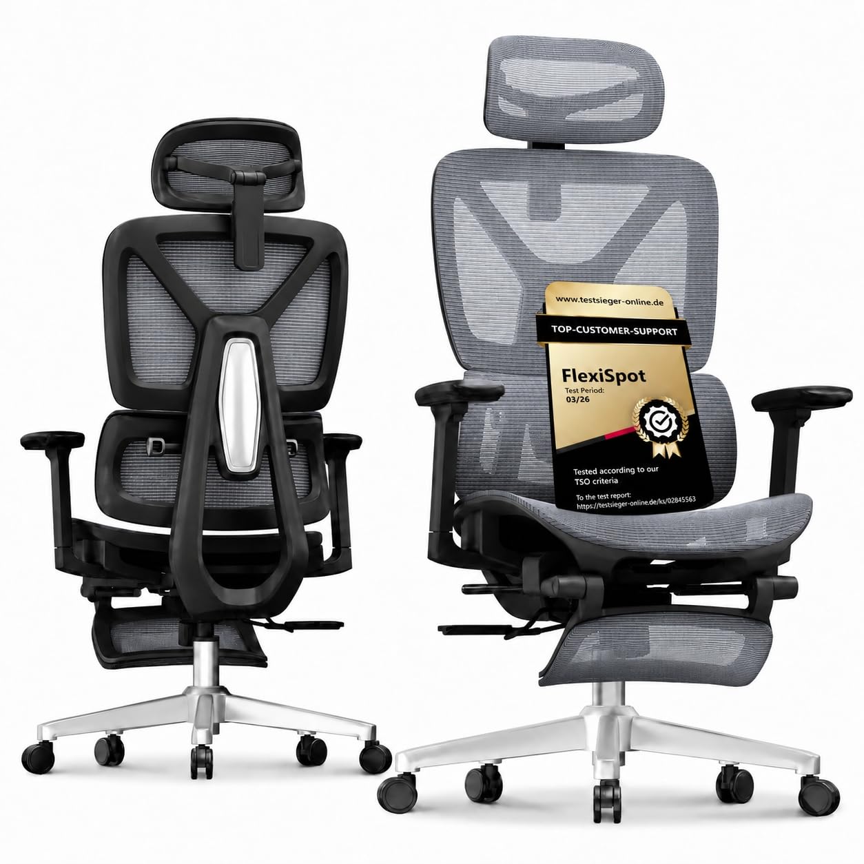 flexispot-ergox-ergonomischer-b-rostuhl-mit-fu-st-tze-grau-3d-armlehnen-3d-kopfs image 1