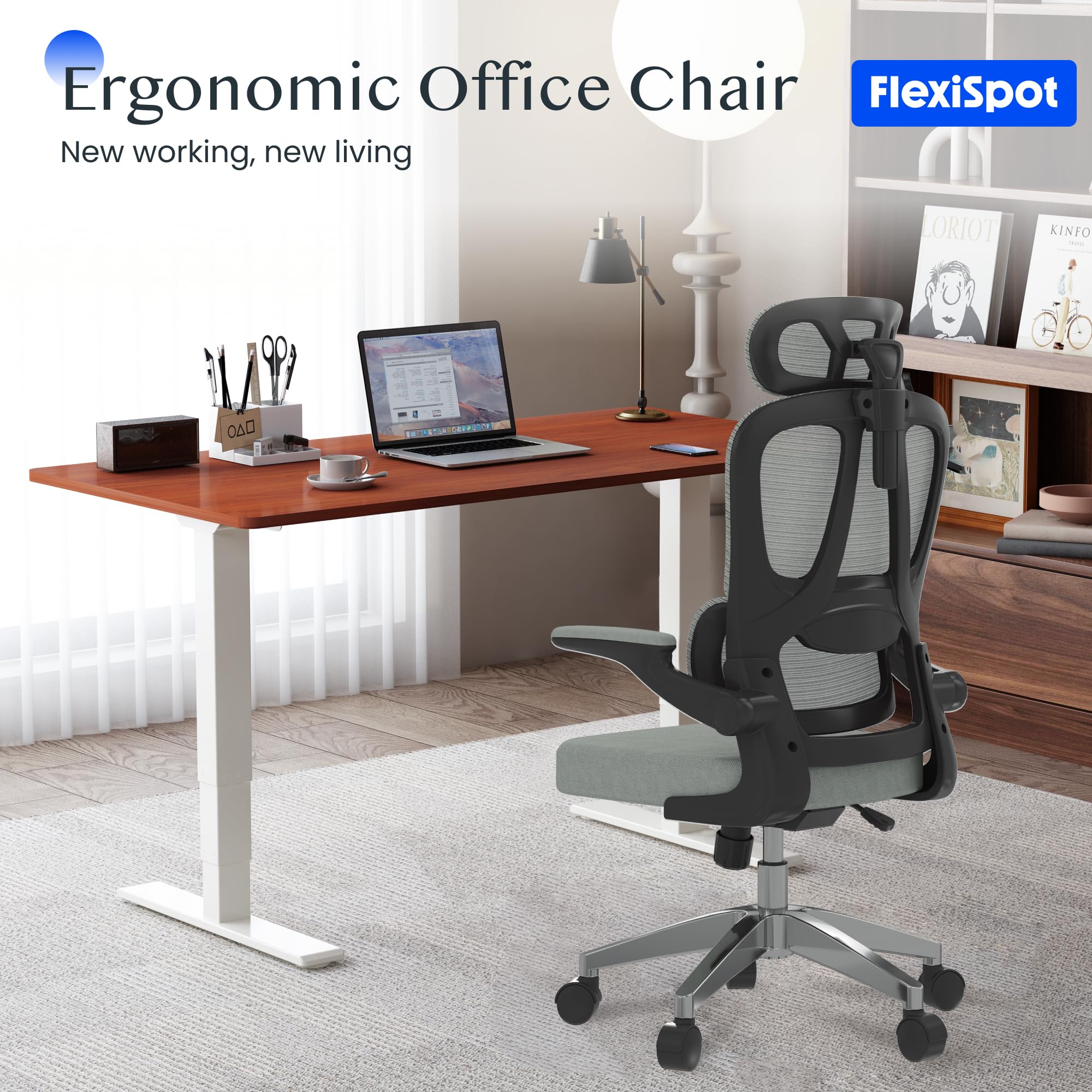 flexispot-ergonomischer-b-rostuhl-grau-schreibtischstuhl-mit-2d-kopfst-tze-klapp image 3