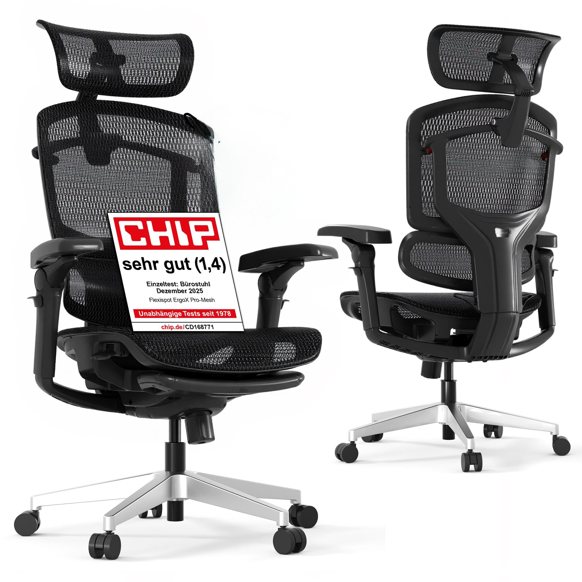 flexispot-ergox-pro-ergonomischer-b-rostuhl-7d-armlehnen-5d-lendenst-tze-4d-kopf image 1
