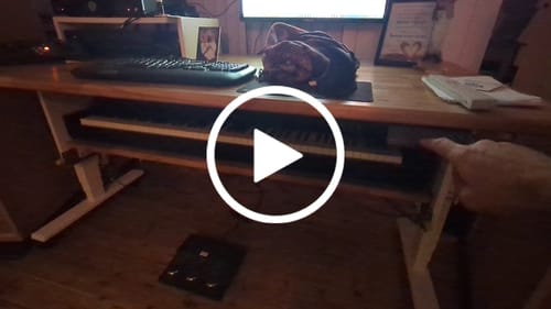 Klasse für Gaming und Arbeit